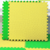 New Design EVA Foam Sport Mats 100X100cm Puzzle Taekwondo Mats