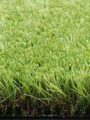 Low Maintenance Landscaping Turf