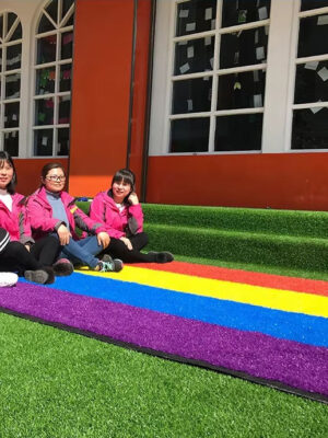 Rainbow Synthetic Turf Runway