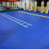 Roll out Gym XPE Wrestling MMA Tatami Roll out Mat for Martial Arts Mat