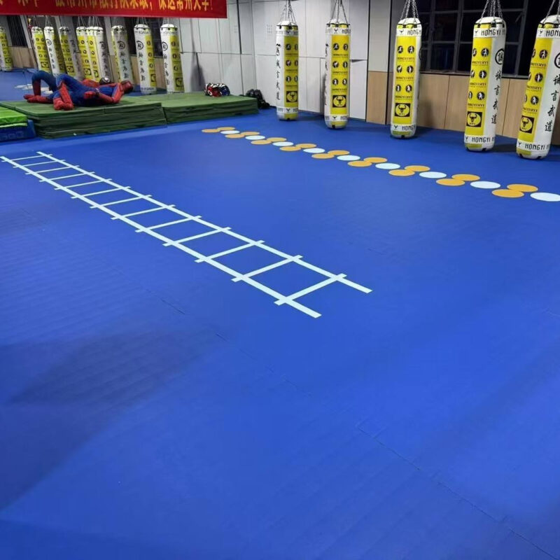Roll out Gym XPE Wrestling MMA Tatami Roll out Mat for Martial Arts Mat